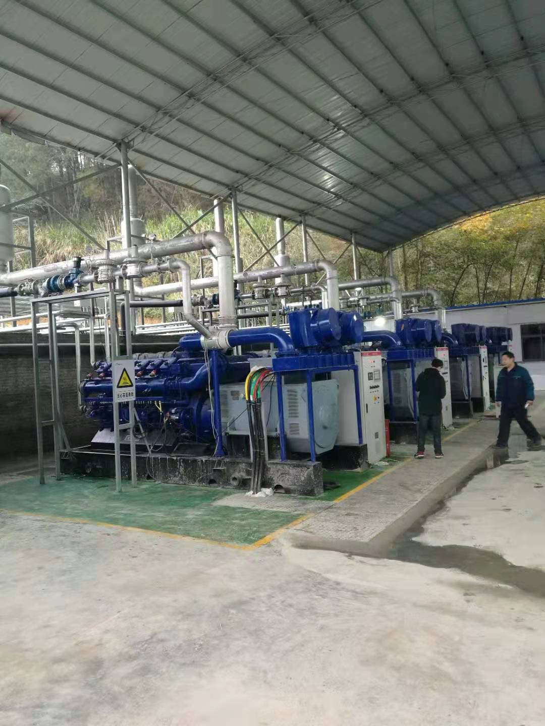 香港免费大全资料